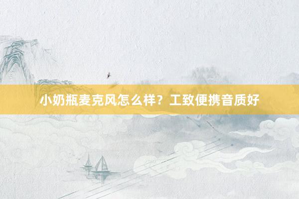   小奶瓶麦克风怎么样？工致便携音质好